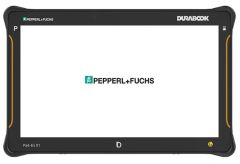 Pepperl+Fuchs / Ecom Pad-Ex 01 P12 DZ2 (ATEX Zone 2/22)