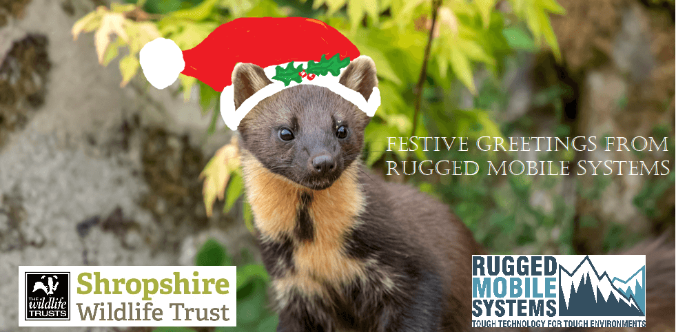 Festive Greetings from all the team at RUGGED MOBILE Systems